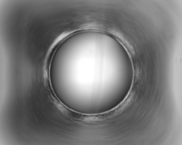 X0000087641462200705101038