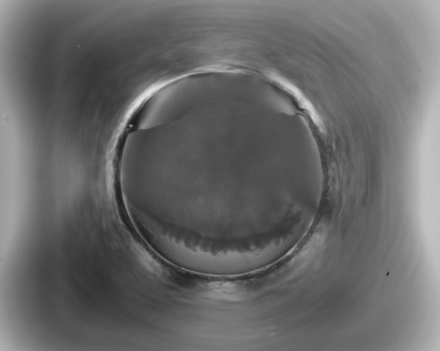 X0000087641463200705101038