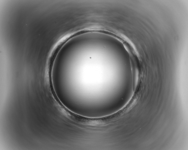 X0000087641464200705101038