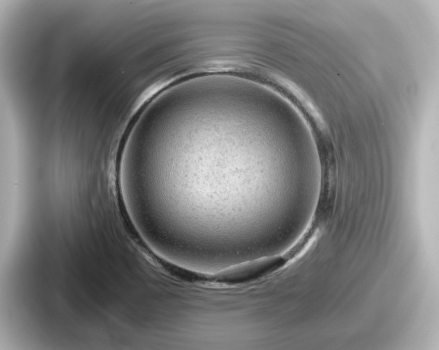 X0000087641465200705101038