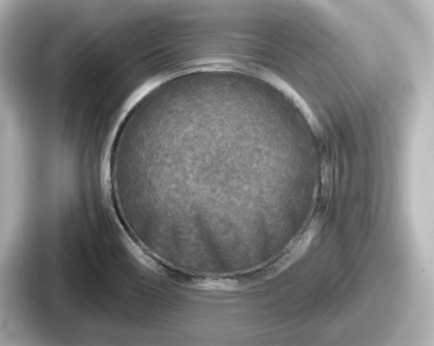 X0000087641466200705101038