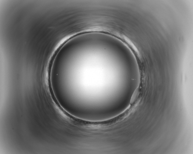 X0000087641468200705101038