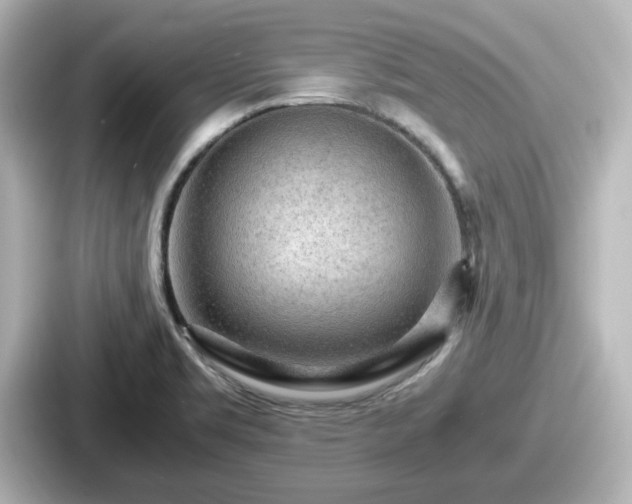 X0000087641469200705101038