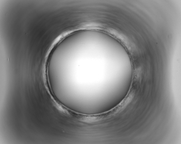 X0000087641470200705101038