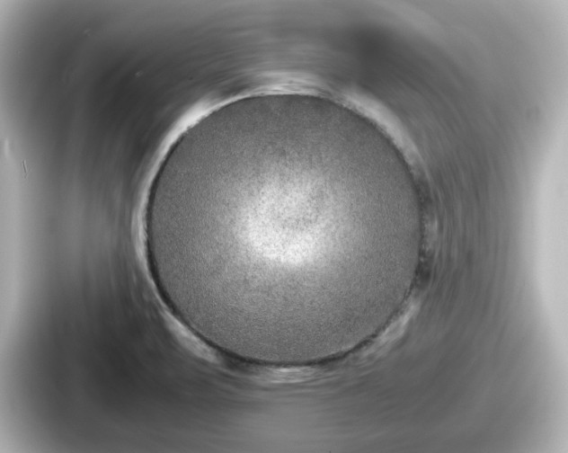 X0000087641471200705101038