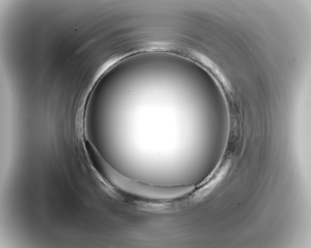 X0000087641473200705101038