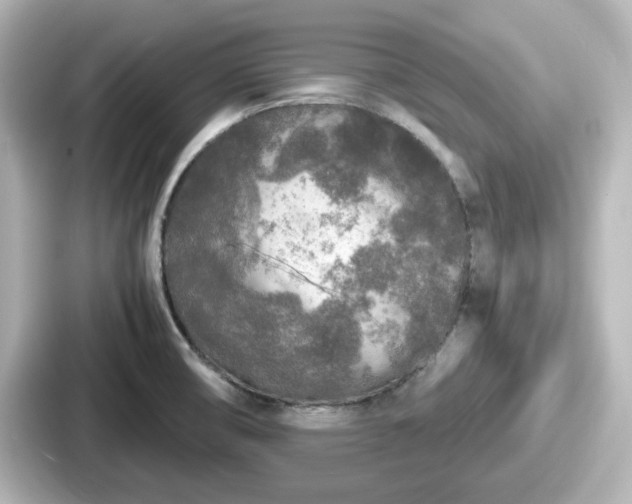 X0000087641474200705101038