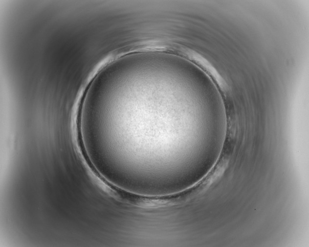 X0000087641475200705101038