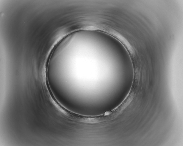 X0000087641476200705101038