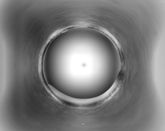 X0000087641477200705101038