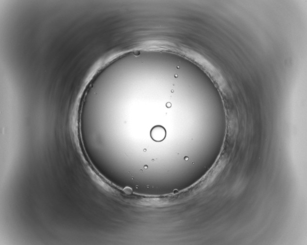 X0000087641478200705101038