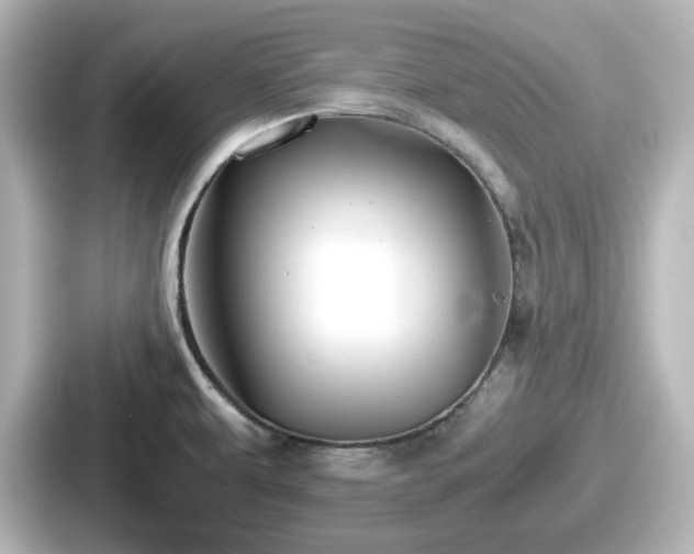 X0000087641479200705101038