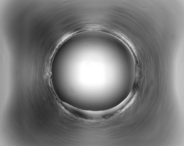 X0000087641481200705101038