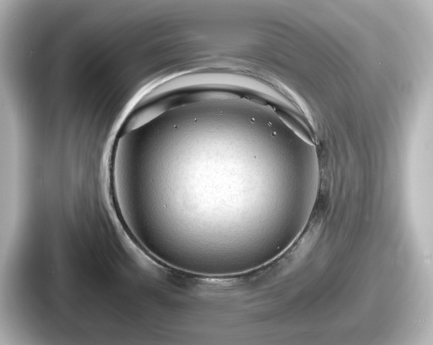 X0000087641483200705101037