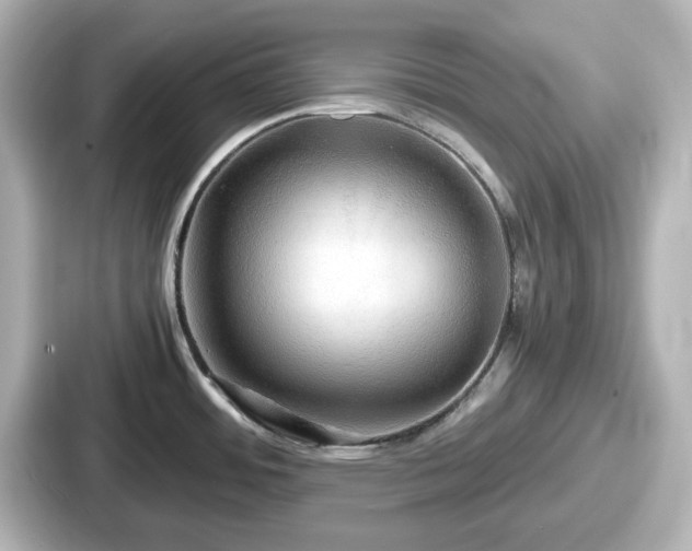 X0000087641484200705101037