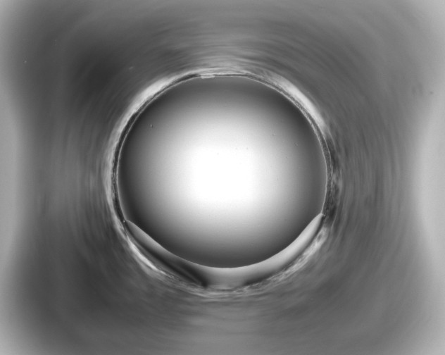 X0000087641485200705101037