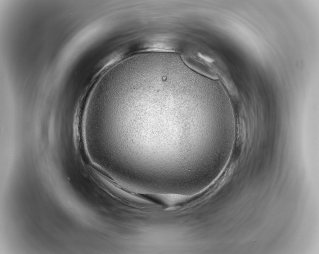 X0000087641487200705101037