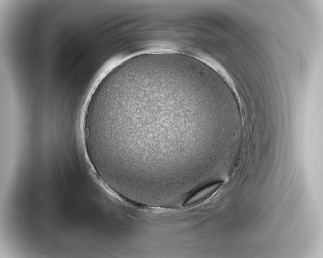 X0000087641488200705101037