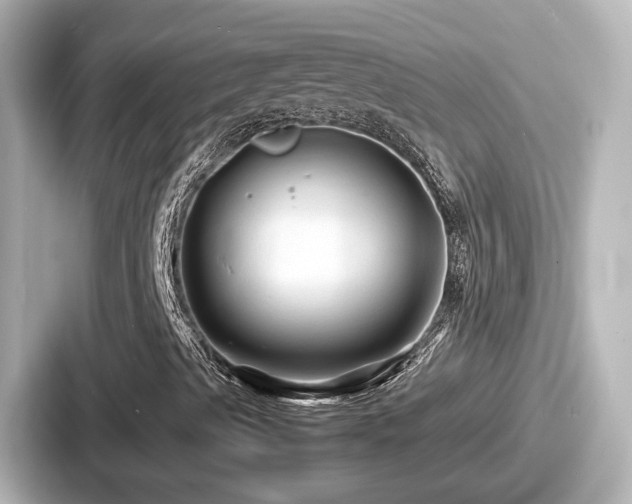 X0000087641489200705101037