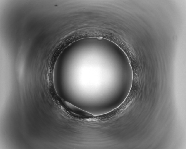 X0000087641490200705101037