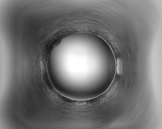 X0000087641491200705101037