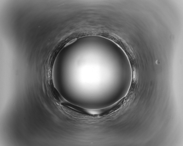 X0000087641492200705101037