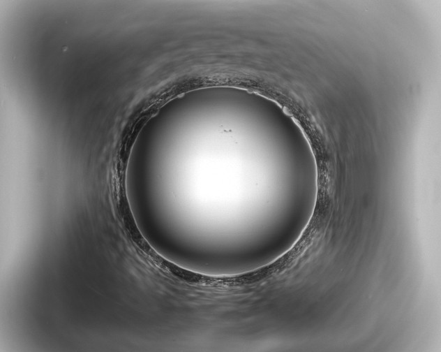 X0000087641493200705101037