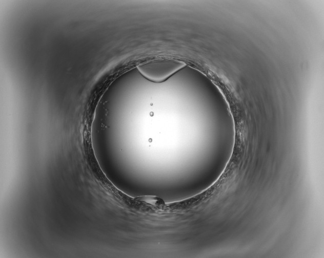 X0000087641495200705101037