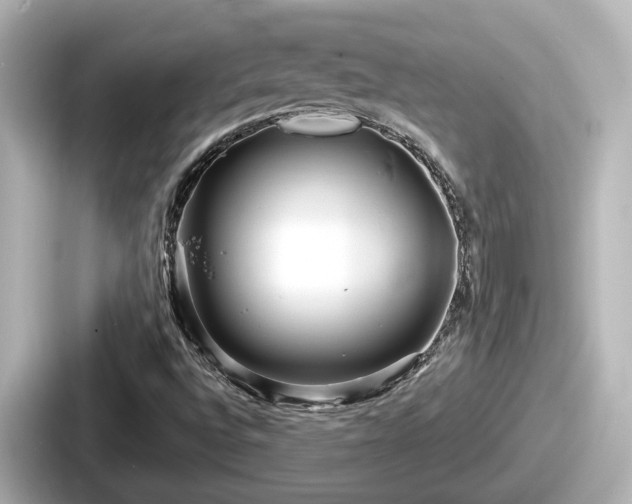 X0000087641496200705101037