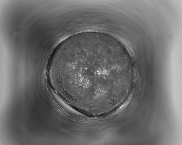 X0000087641497200705101037