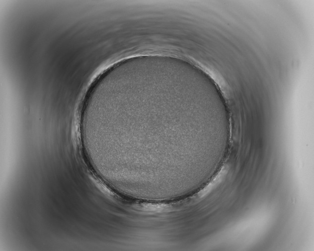 X0000087641498200705101037