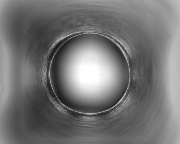 X0000087641499200705101037