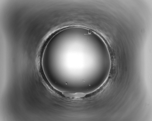 X0000087641503200705101037