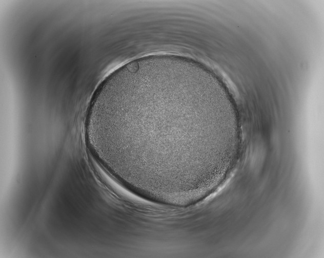 X0000087641505200705101037