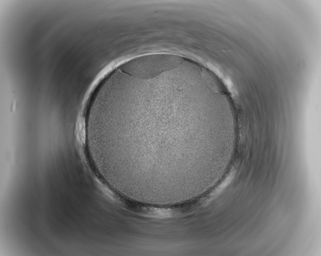 X0000087641509200705101037