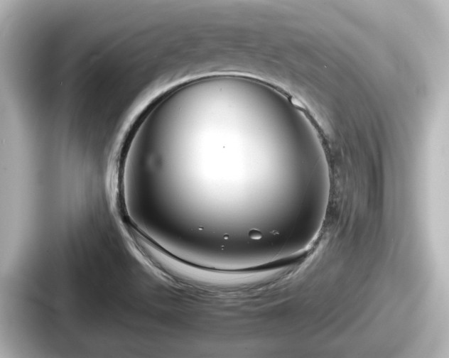 X0000087641511200705101037