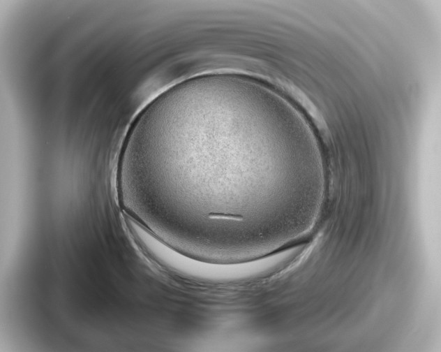 X0000087641513200705101037