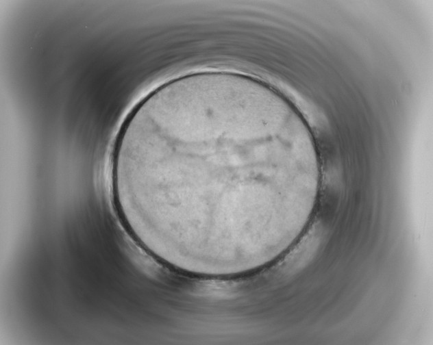 X0000087641514200705101037