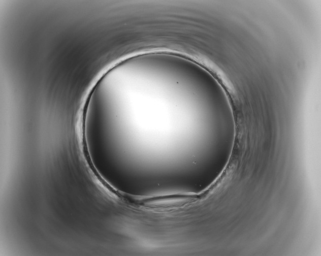 X0000087641516200705101037