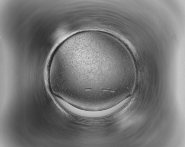 X0000087641517200705101037