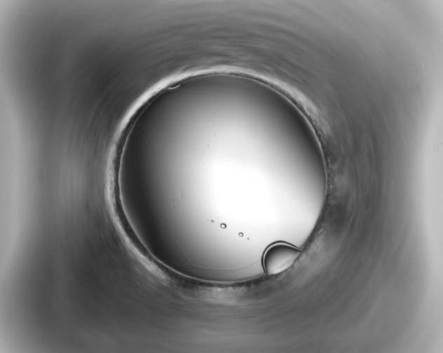 X0000087641518200705101037