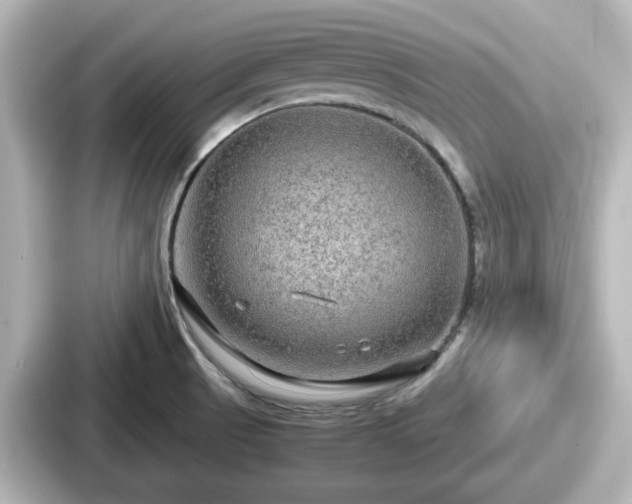 X0000087641521200705101037