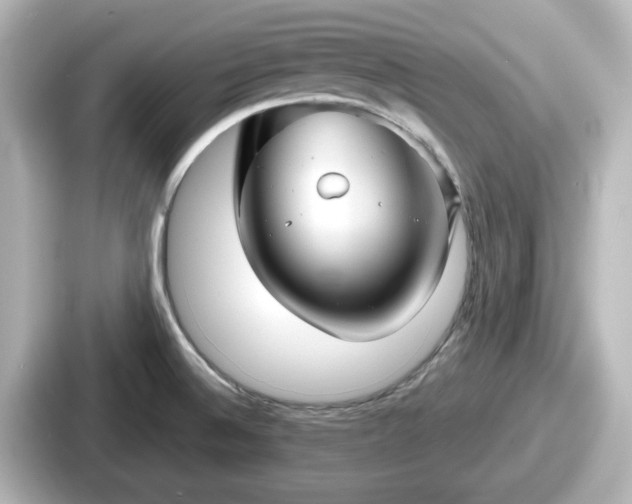 X0000087641524200705101037