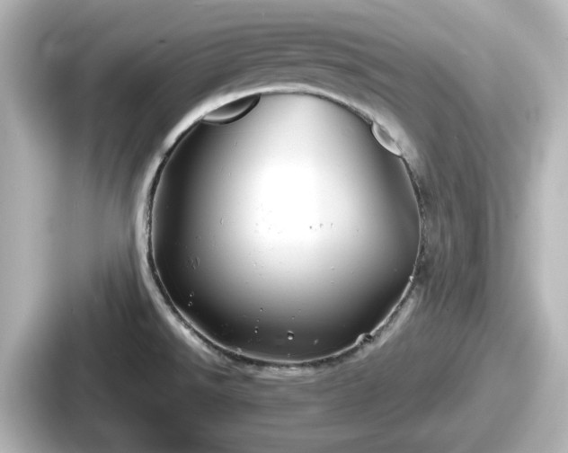 X0000087641526200705101037