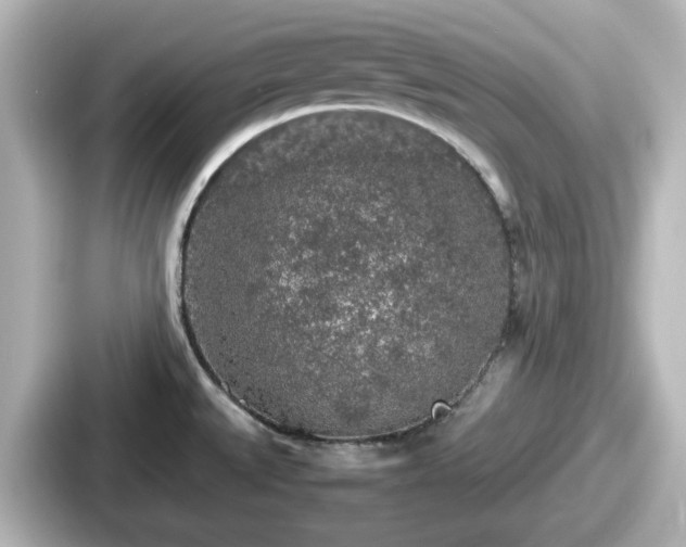 X0000087641527200705101037