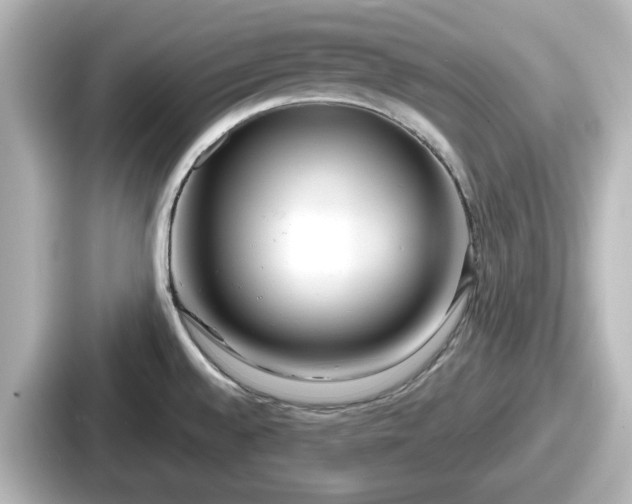 X0000087641528200705101037