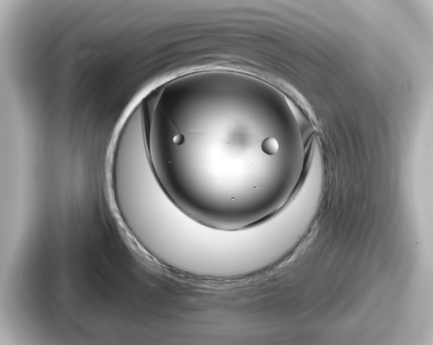 X0000087641530200705101037