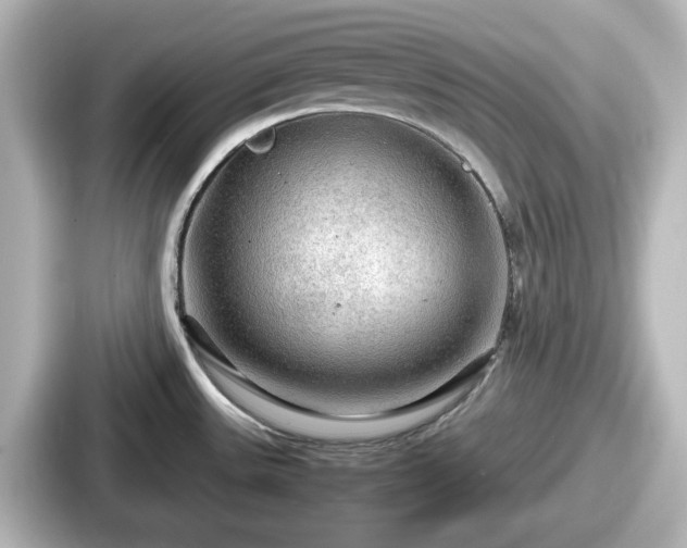 X0000087641531200705101037