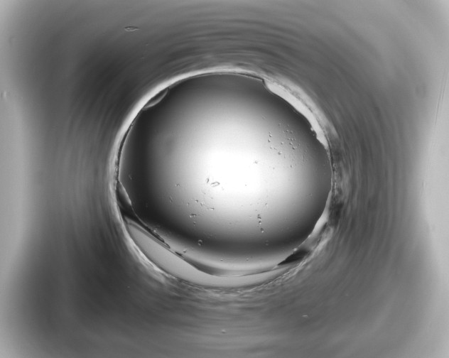 X0000087641532200705101037