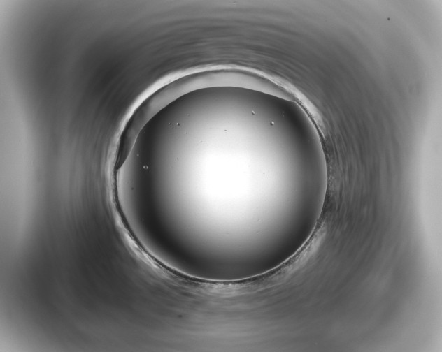 X0000087641534200705101037